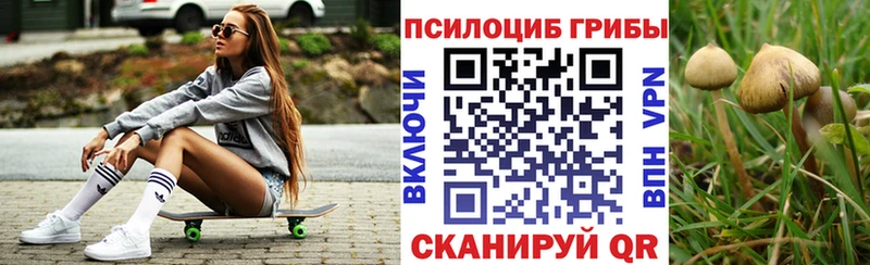 что такое   Андреаполь  Галлюциногенные грибы Cubensis 